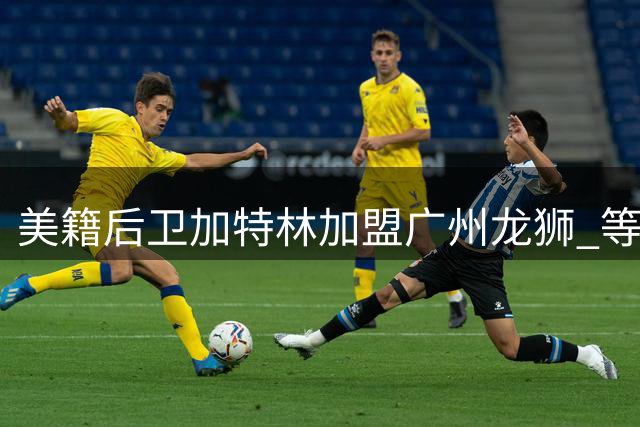 美籍后卫加特林加盟广州龙狮 等候CBA官方审核